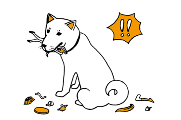 ペットも大好き!